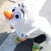 むらさきの画像