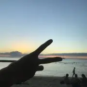 Sの画像