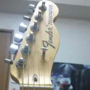ごじらの画像