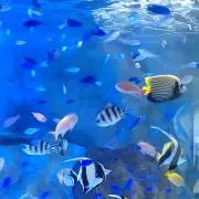 りんご