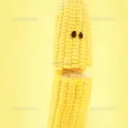 とうもろこしの画像