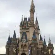 えびまよの画像