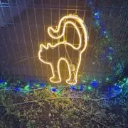 じゅらおの画像