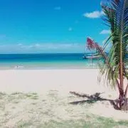 だるる