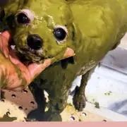 きゃ