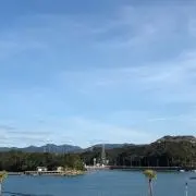 Rの画像