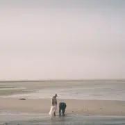 sの画像