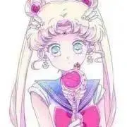 う さ ぎ ₍ ᐢ. ̫ .ᐢ ₎の画像
