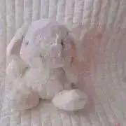 Rの画像