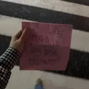 みーの画像