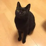 おもち