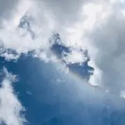 Rainbow Flowerの画像