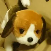 らら