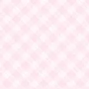 モーニング娘。 久住小春 道重さゆみ 高橋愛 田中れいな 新垣里沙 公式