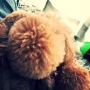 もふもふ