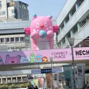 あかの画像