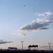 枝豆の画像