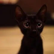 uran