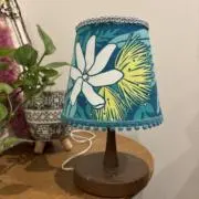 あみはの画像