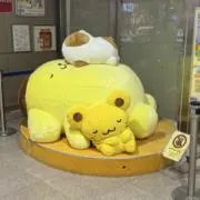 yuの画像