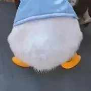 RUUの画像