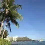 ranporonの画像