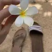 ふぅすけ※購入前にコメントください☆の画像