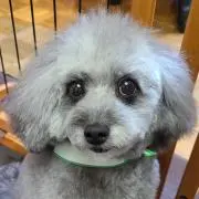 mamの画像