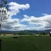 Zの画像