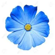 Image of 土日も毎日発送#nonsunʔ•̫͡•ʕ