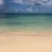 Koyoの画像