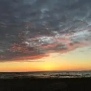 ネコサンドロスの画像