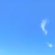いちごの画像