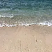 ドンキーコングの画像