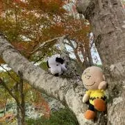 Rinの画像