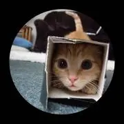 pilomiiiの画像