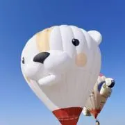 りりんこの画像