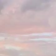 もちの画像