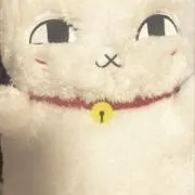みかんの画像