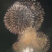 あおい