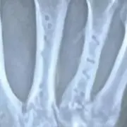 庄司慎吾の画像