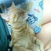 ひーちゃん