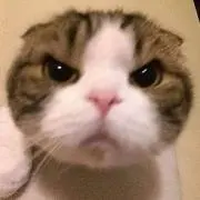 ポの画像