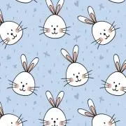 ぴょんきちの画像