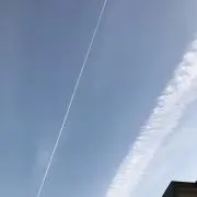 ポッキーの画像