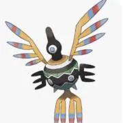 ポコの画像