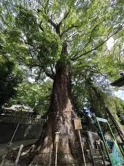 y113462の画像