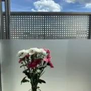 アニサ