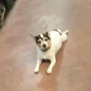 アーチの画像