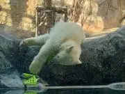 どんさーたばの画像